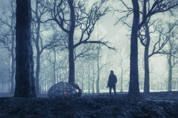 istock Woman with skate and mysterious alien object in the forest at night 876274214
