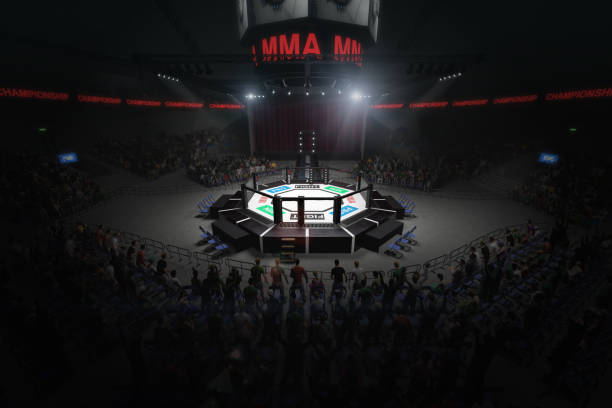 big mma fighting arena with lots of fans 3d rendering - confined space flash imagens e fotografias de stock