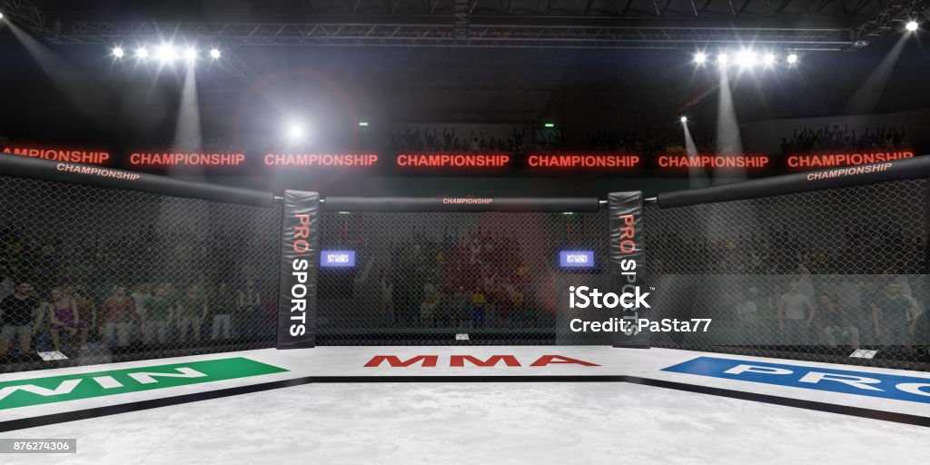 mma fighting stage side view under lights 3d rendering empty mma arena under lights with spectators on the background 3d rendering Mixed Martial Arts Stock Photo