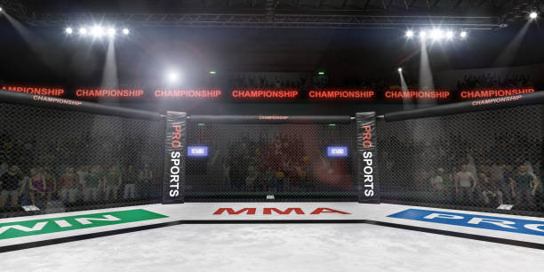 mma fighting stage side view under lights 3d rendering empty mma arena under lights with spectators on the background 3d rendering ring stock pictures, royalty-free photos & images