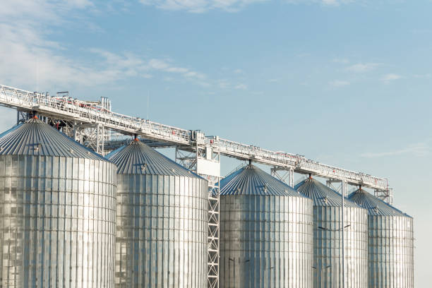 Modern agricultural silos or grain elevator with blue sky on the background. Storage of grain and other different cereals.