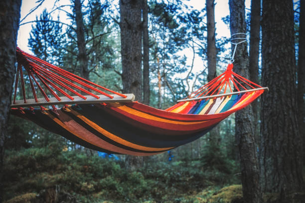istock Colorful hammock hanging in the forest. Selective focus 876274982