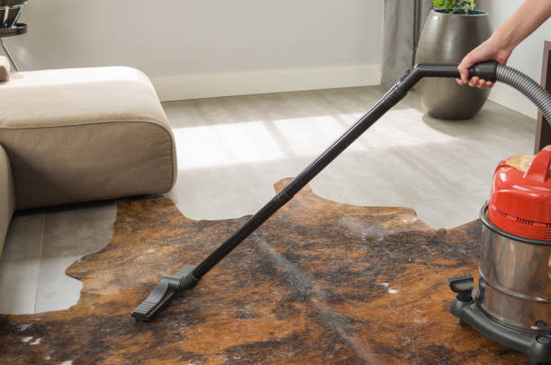 istock Vacuuming dog hair 876275156
