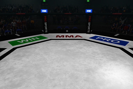 empty mma arena with fans on the background 3d rendering