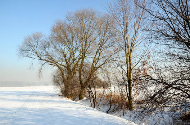 istock Winter landscape in Poland 876277016
