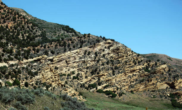 istock Earth movement seen in rock striations is result of possible earthquake. 876284944