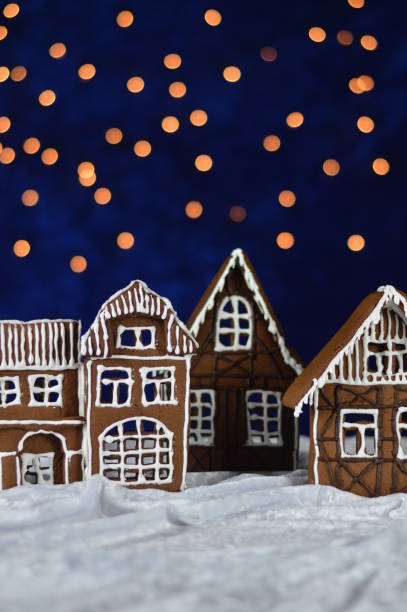 istock home made gingerbread village with bokeh sky 876291932