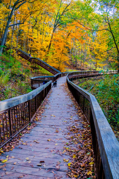 una joya escondida en el extremo este de la ciudad - outdoors footpath leaf toronto fotografías e imágenes de stock