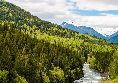 Río de montaña en el bosque colorido de Columbia Británica - Canadá photo