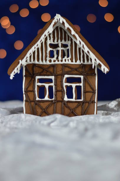 istock home made gingerbread house with bokeh sky 876292666