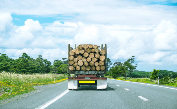 1 번 국도에서 노스 랜드, 북쪽 섬, 뉴질랜드, 뉴질랜드에서 운전 하는 트럭을 로깅 - lumber industry truck truck driver log 뉴스 사진 이미지