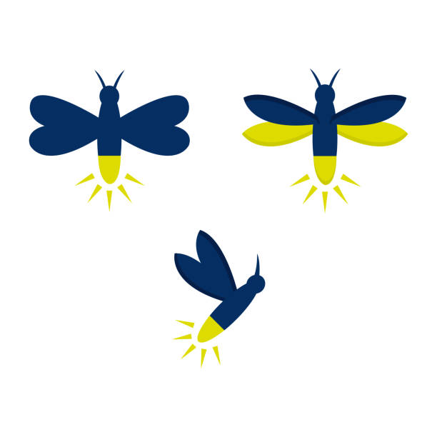 Firefly A set of different firefly icons lightning bug icon stock illustrations