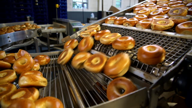Making of the fresh hot tasty bagels at the backery's factory - bagels are transporting for sorting on the conveyor.