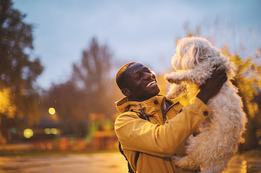 Photography of a Young African-American man holding Maltese dog in the park, having fun in the rain
