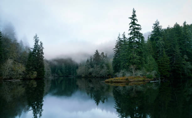 istock Lake Sylvia Oncoming Fog and Nightfall 876336128