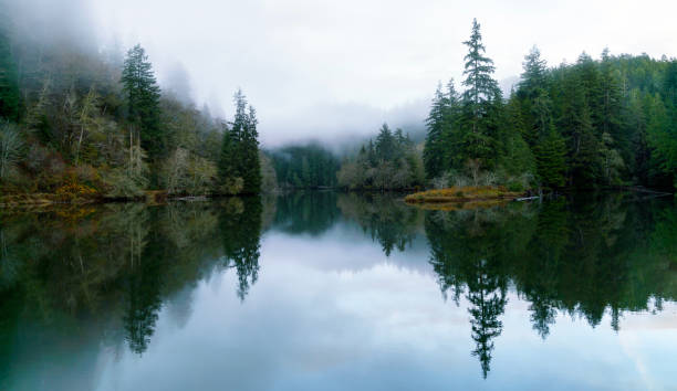 istock Lake Sylvia Oncoming Fog and Nightfall 876336252
