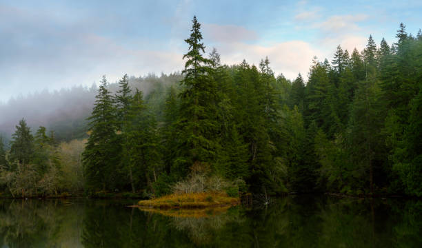 istock Lake Sylvia Oncoming Fog and Nightfall 876336442