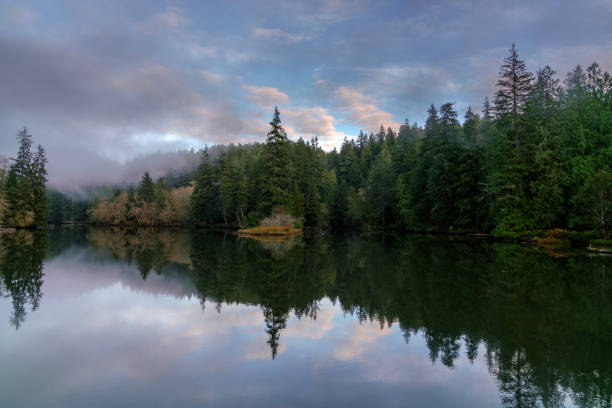istock Lake Sylvia Oncoming Fog and Nightfall 876336498