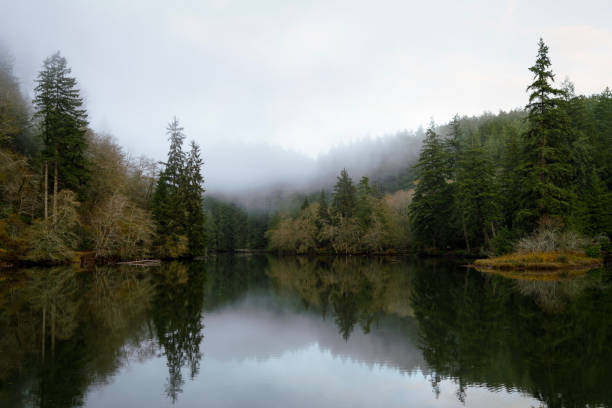 istock Lake Sylvia Oncoming Fog and Nightfall 876336500