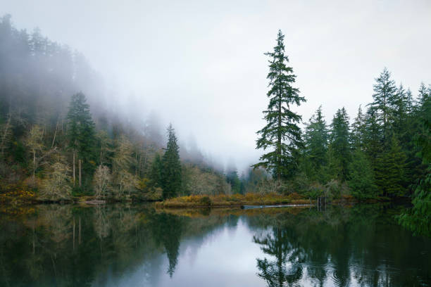 istock Lake Sylvia Oncoming Fog and Nightfall 876336706