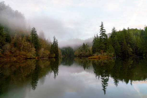 istock Lake Sylvia Oncoming Fog and Nightfall 876336862