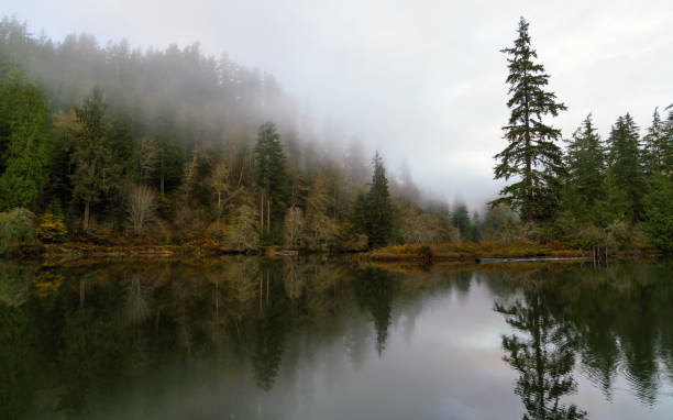 istock Lake Sylvia Oncoming Fog and Nightfall 876337524