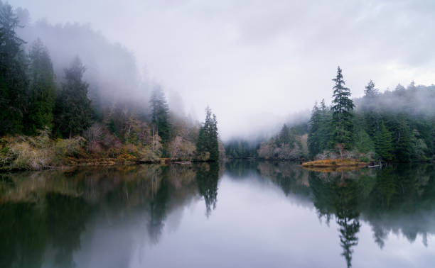 istock Lake Sylvia Oncoming Fog and Nightfall 876337954
