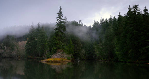 istock Lake Sylvia Oncoming Fog and Nightfall 876338022