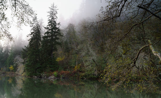 istock Lake Sylvia Oncoming Fog and Nightfall 876338054