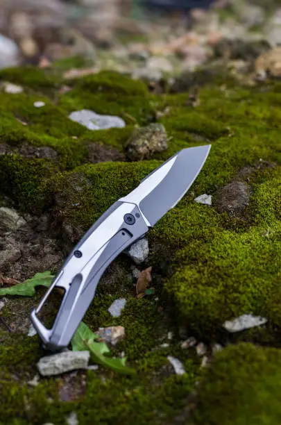 Photo of Folding knife for daily carrying.