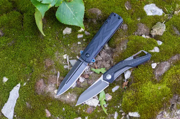 Photo of Two folding knives. Knives with different handles.