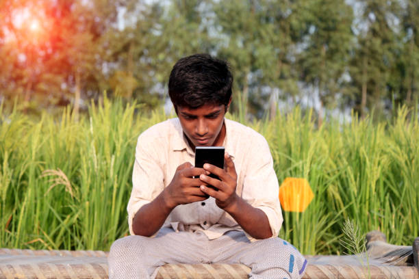 farmer using mobile phone - developing countries farmer rice paddy asia imagens e fotografias de stock