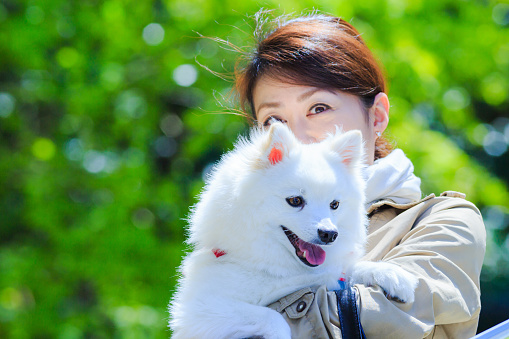 Woman holding a white dog