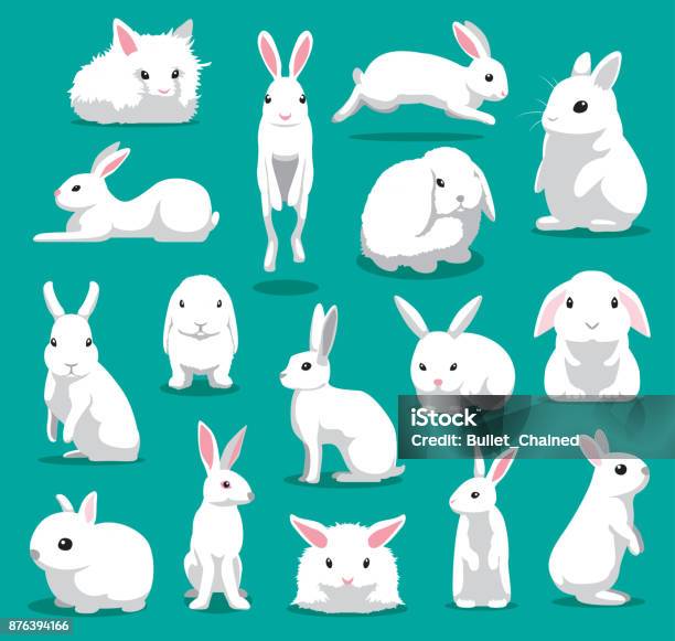 Niedlichen Weißen Kaninchenposencartoonvektorillustration Stock Vektor Art und mehr Bilder von Kaninchen
