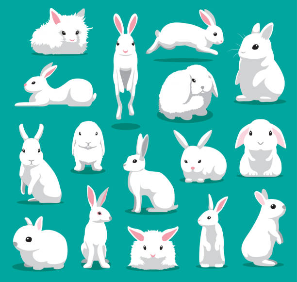 симпатичные белый кролик позы мультфильм вектор иллюстрация - кролик stock illustrations