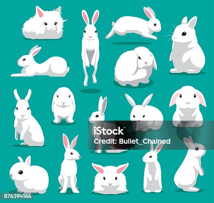 41,815 White Rabbit Illustrations & Clip Art - iStock | White rabbit  isolated, Black and white rabbit, White rabbit alice