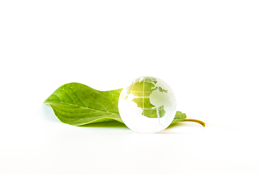 World environment and ecology friendly concept with glass globe on green leaf