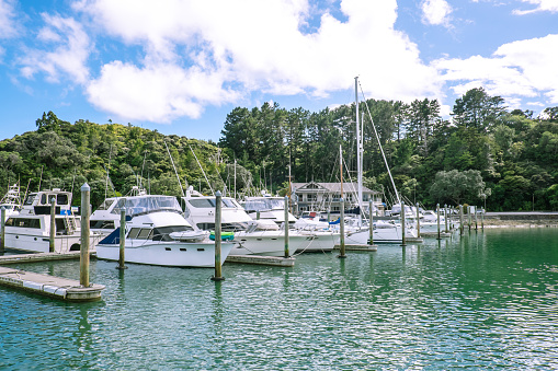 Motor boats, yachts and launches moored in front of a building at Tutukaka Marina, Northland, North Island, New Zealand, NZ, with trees and bush in background
