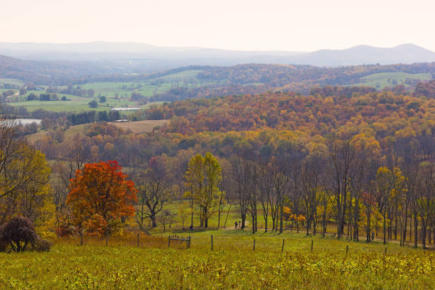 Park panorama with Appalachian mountain on horizon, Virginia, USA