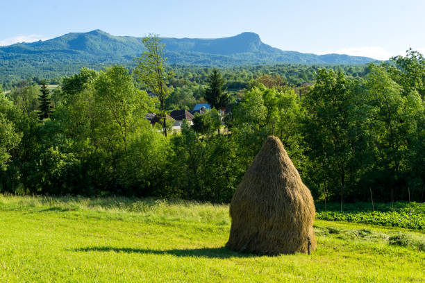 Cow Hay and printable perfect for use in a wide range of new media templates: Web Marketing Agency, Social Media Services Showcase, Online Marketing Apps and Web.