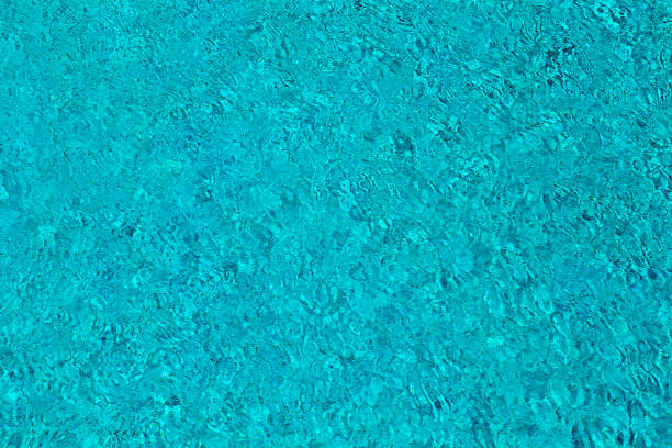 istock Water ripples on blue tiled swimming pool background. Top view. 876427128