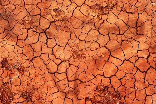 Abstract background of natural crack texture on dry soil background Abstract background of natural crack texture on dry soil background dry cracked soil stock pictures, royalty-free photos & images