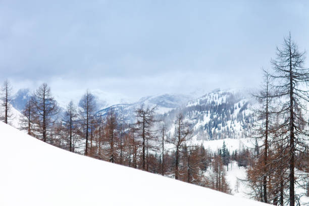 istock Beautiful Alpine mountains. Winter landscape 876439266