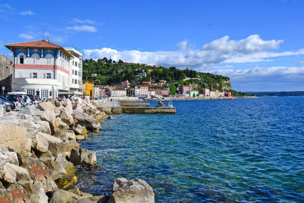 istock Coastline of Piran city, Slovenia 876445830