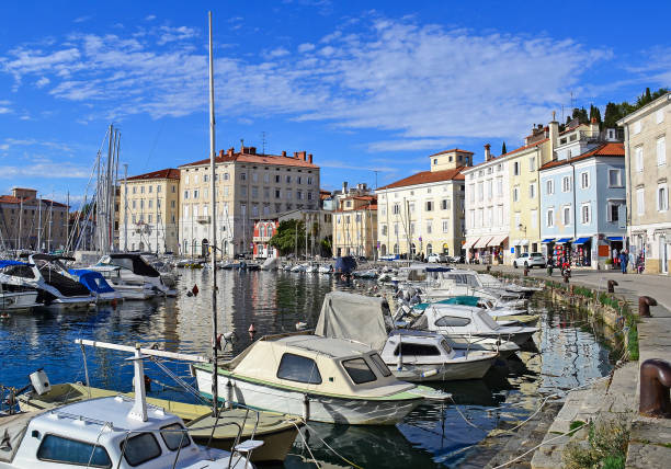 istock Harbor of Piran city, Slovenia 876445858