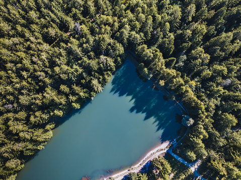 aerial landscape of beautiful mountain lake in the forest, top view, nature of Switzerland