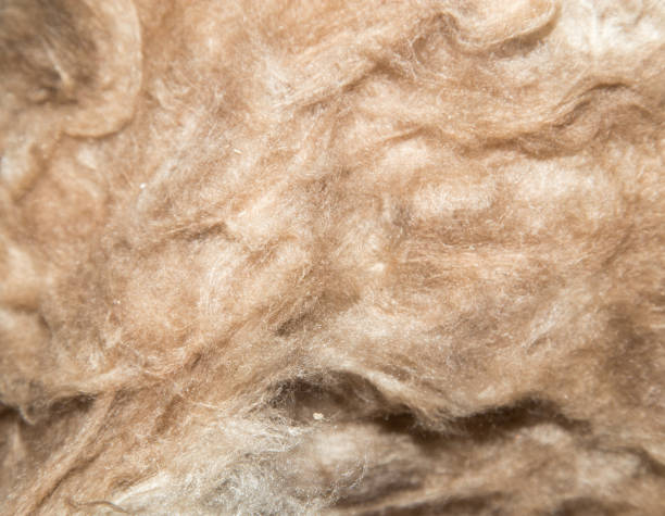 istock Close up of a glass wool roll for insulation purpose, side view with details 876452858