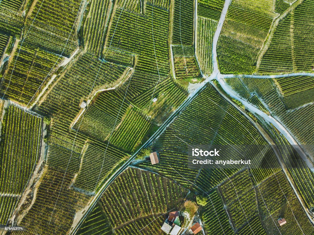 aerial Landschaft der Weinberge - Lizenzfrei Luftaufnahme Stock-Foto