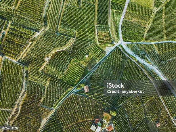 Beautiful Aerial Landscape Of Wine Yards Stock Photo - Download Image Now - Aerial View, South Africa, Agriculture