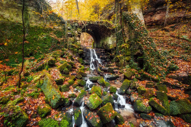 istock Bear garden near Hohnstein 876456528